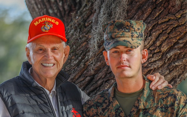 Hal Young Family Ties