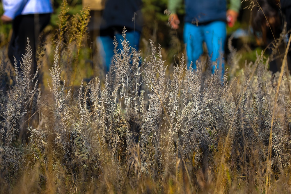 Sage Harvest Event Cultivates Teamwork and Tomorrow