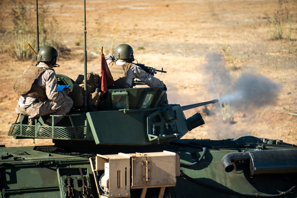 LAR Co. Conducts Low-Light Live-Fire Range at Camp Pendleton