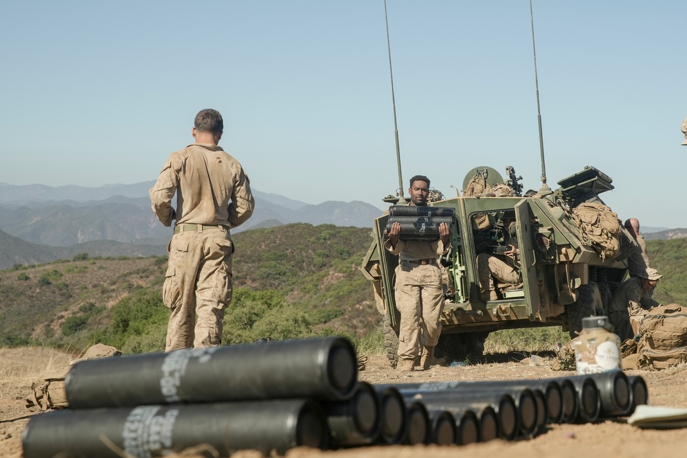 LAR Co. Conducts Low-Light Live-Fire Range at Camp Pendleton