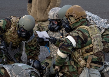 JBER conducts exercise Polar Force 25-2
