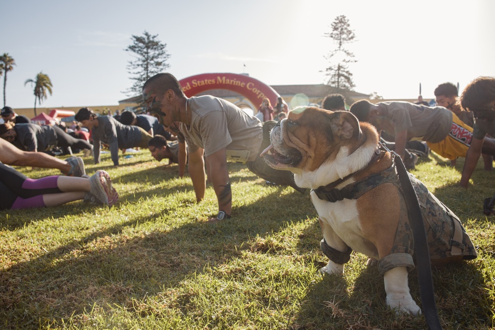 Boot Camp Challenge 2024