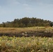 KS 25 | 3/12 Marines and JGSDF Conduct Live Fire Rehearsals