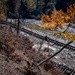 Railroad track damage in Old Fort Highlights Helene’s impact