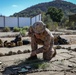 CLB 24, 24th MEU (SOC) Conducts Terrain Model Professional Military Education in Larnaca, Cyprus