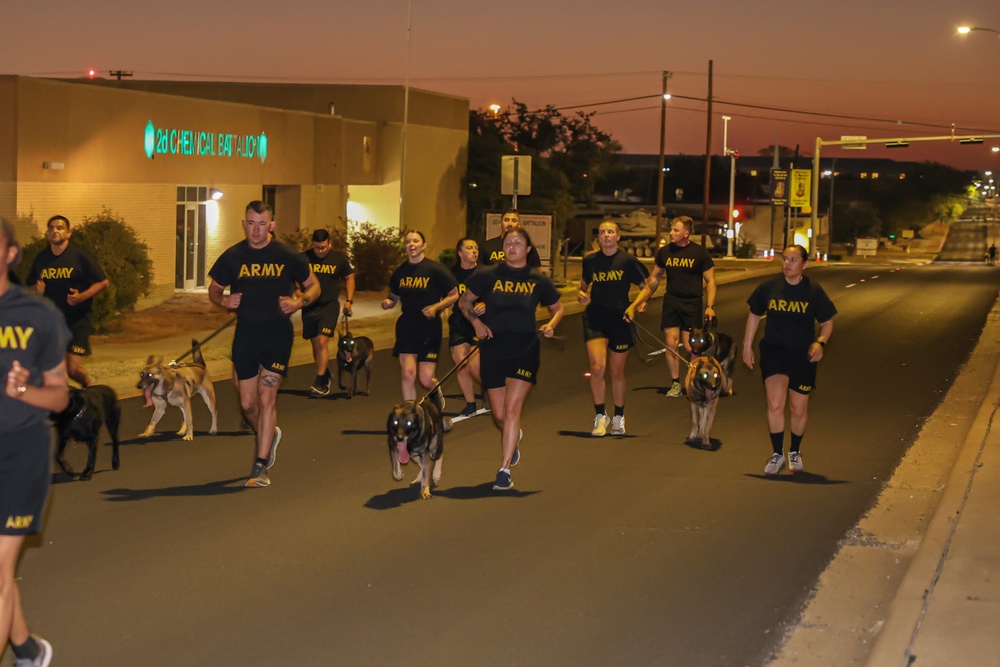 89th MP Brigade Run