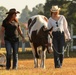 A Day in Equine Therapy