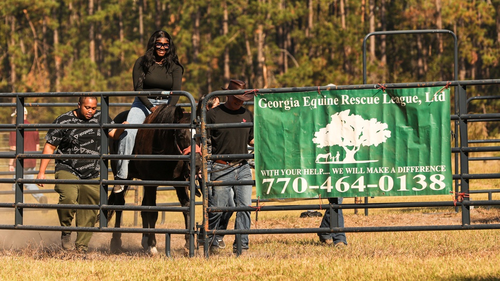 A Day in Equine Therapy