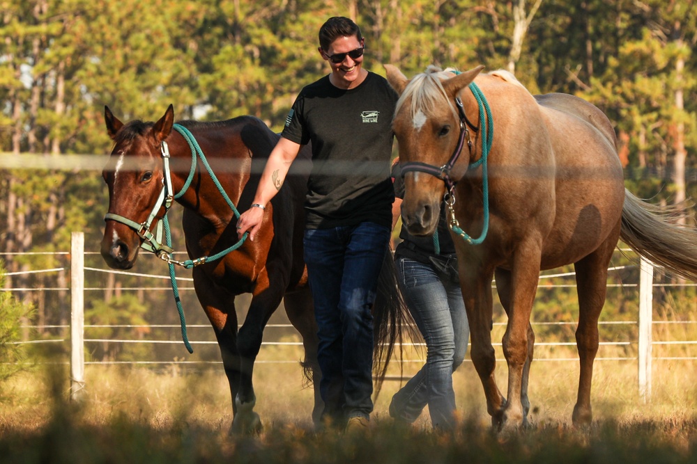 A Day in Equine Therapy