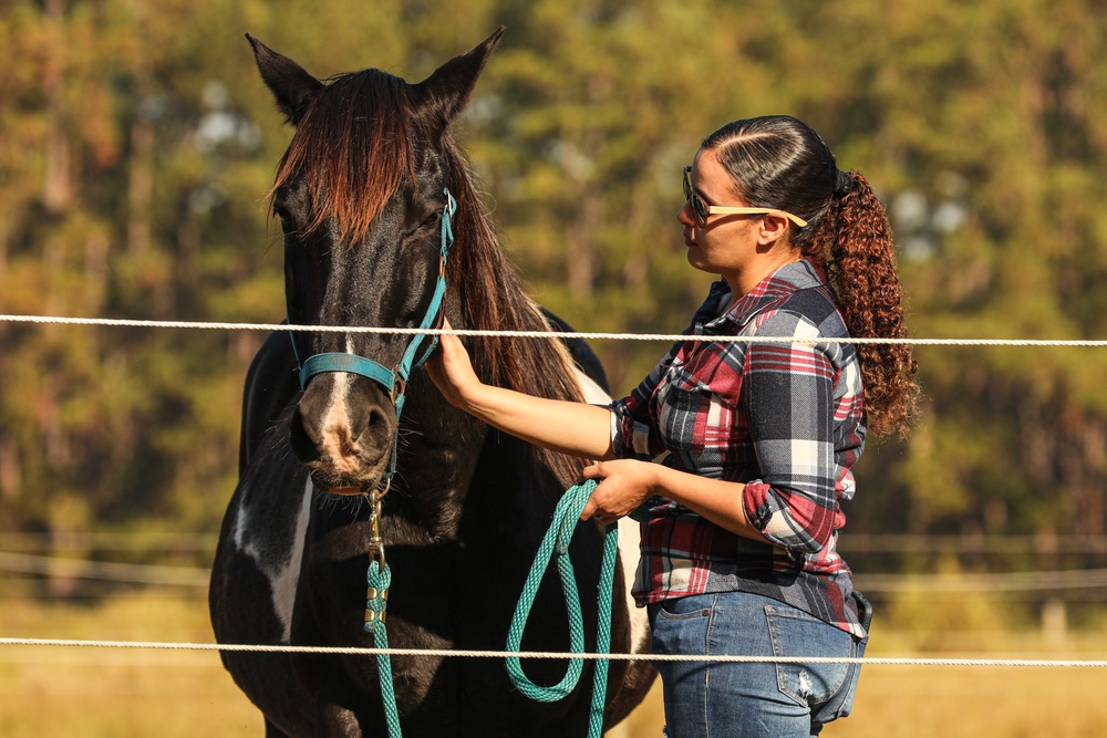 A Day in Equine Therapy