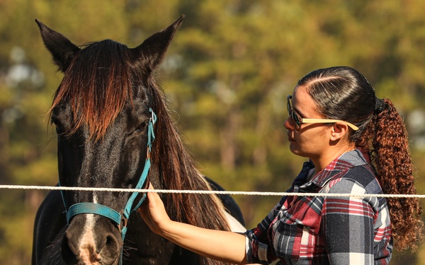 A Day in Equine Therapy