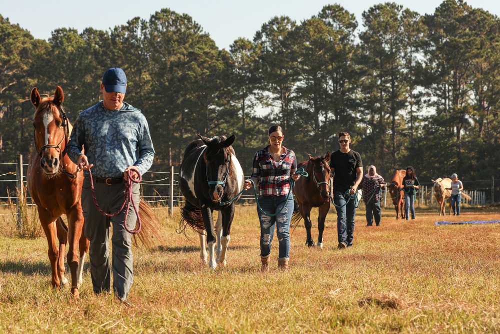 A Day in Equine Therapy