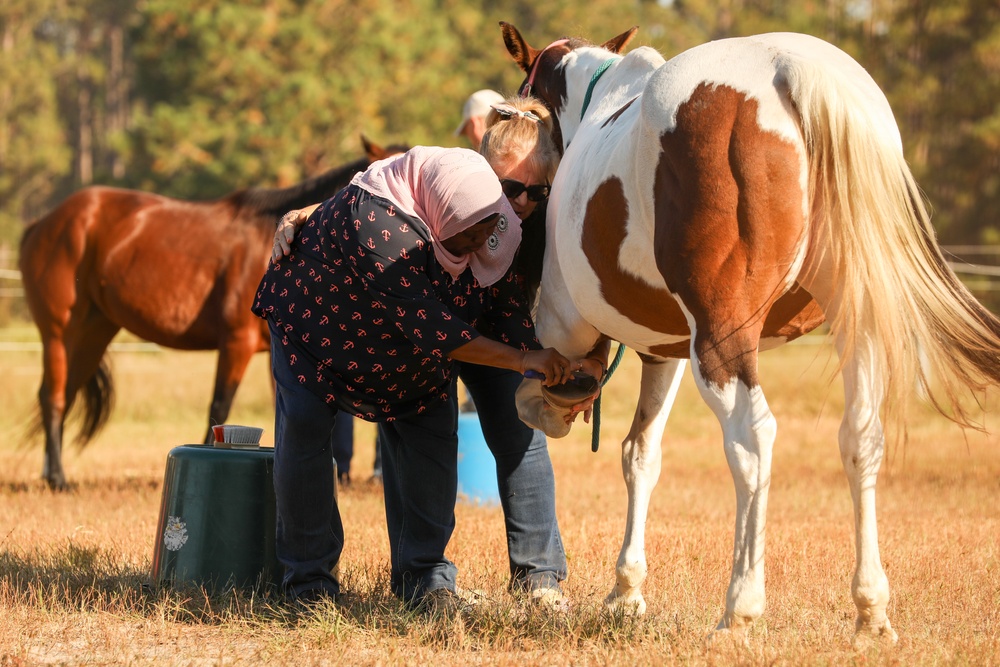 A Day in Equine Therapy