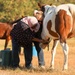 A Day in Equine Therapy