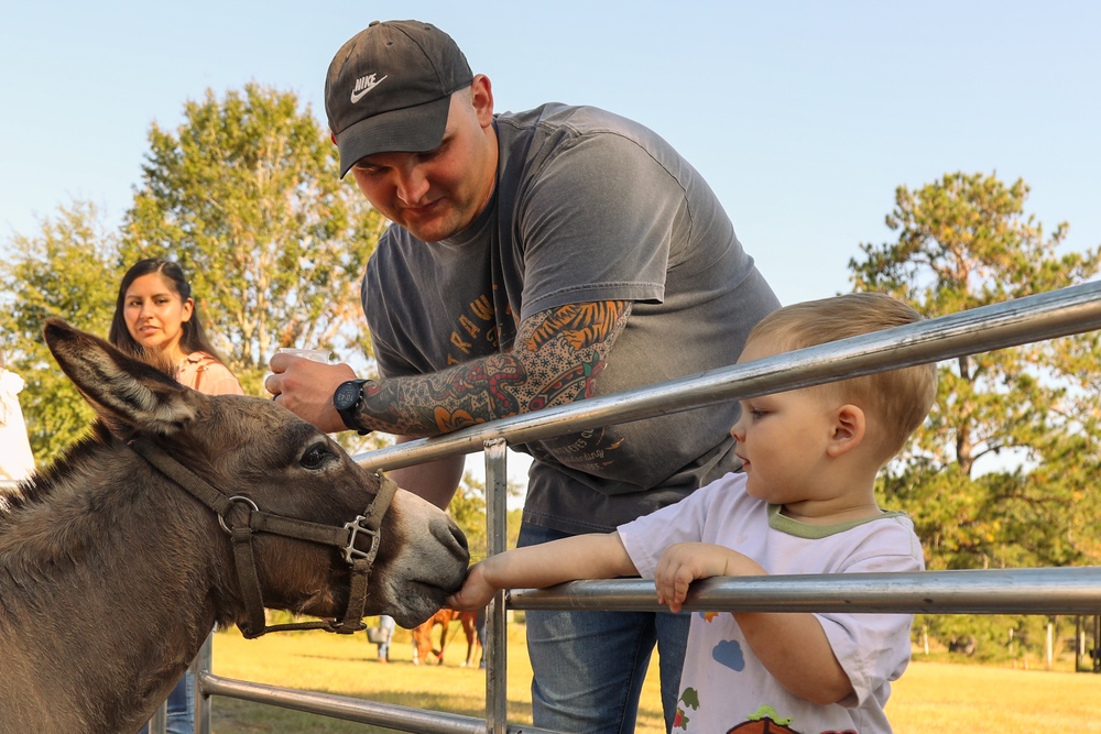 A Day in Equine Therapy