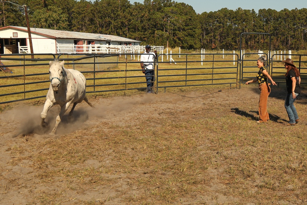 A Day in Equine Therapy