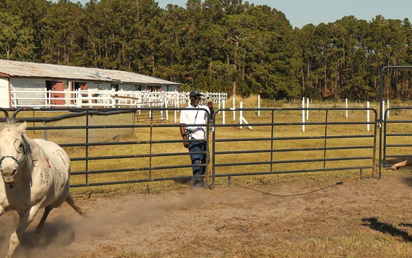 A Day in Equine Therapy