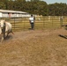 A Day in Equine Therapy