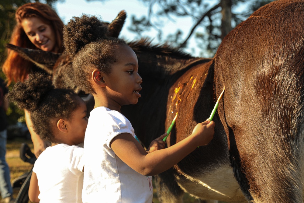 A Day in Equine Therapy