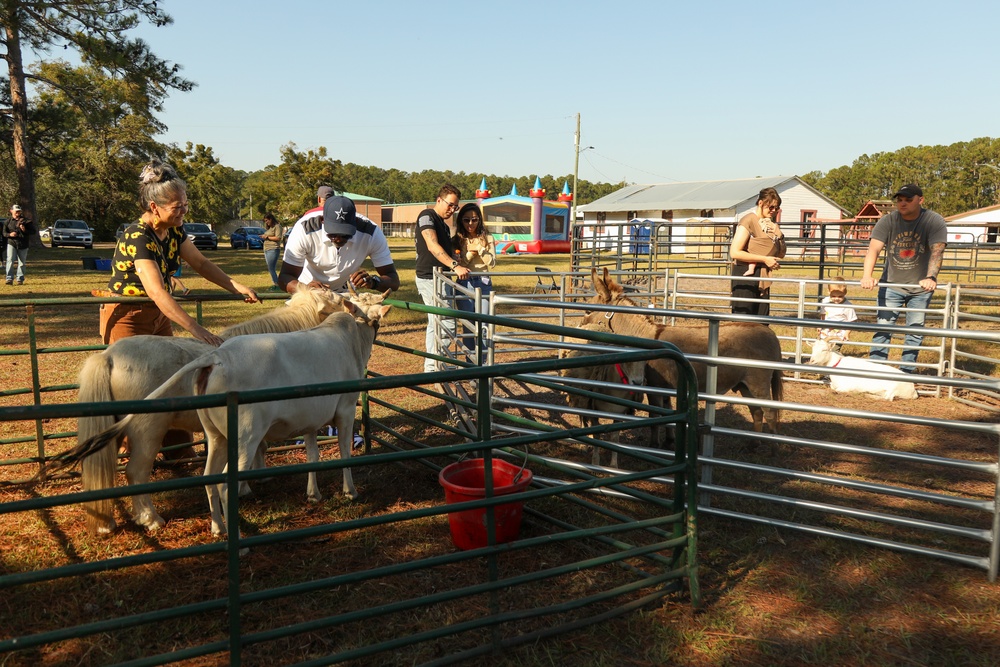 A Day in Equine Therapy