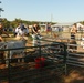 A Day in Equine Therapy