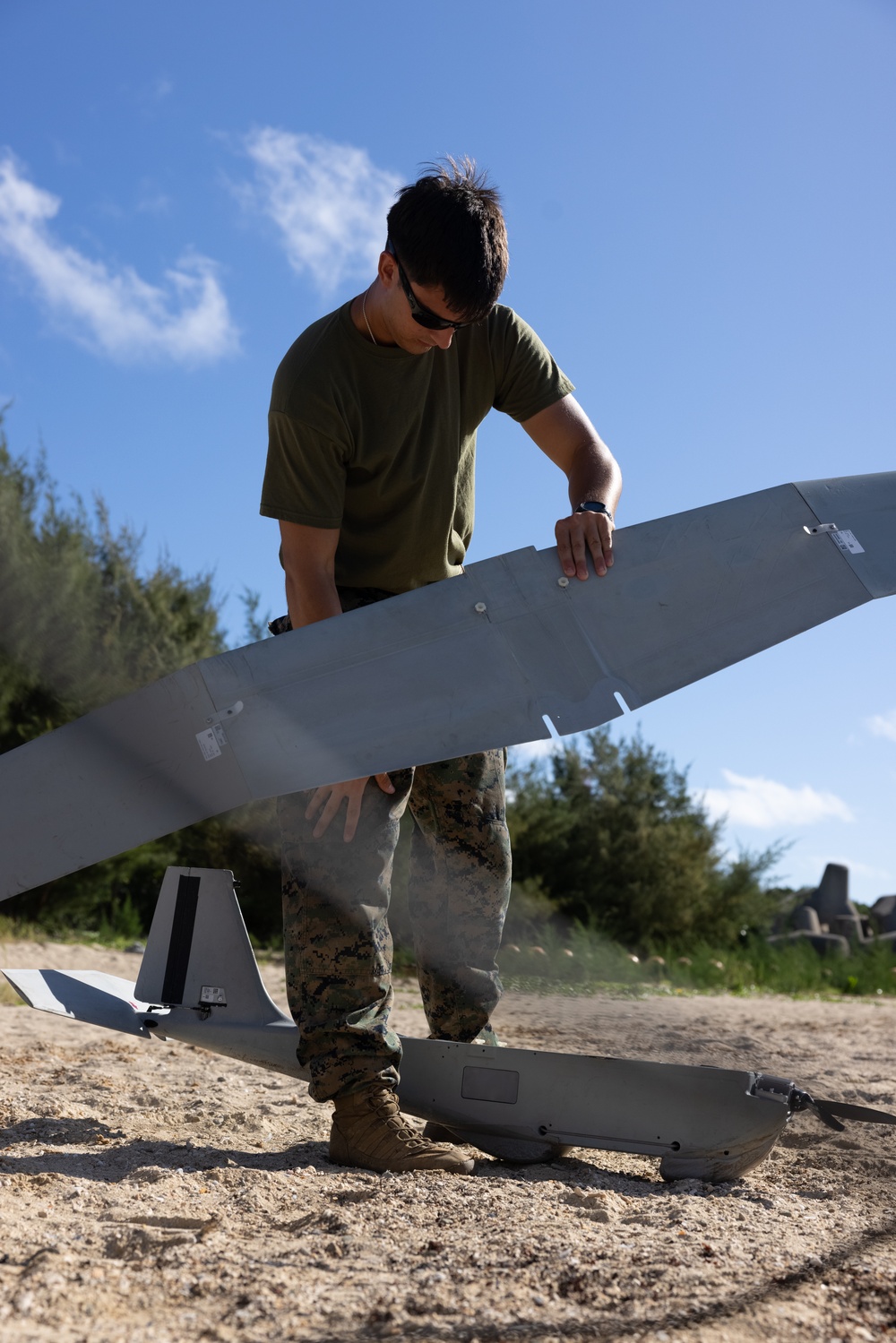 d Reconnaissance Battalion Puma Flight