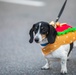 10th Mountain DIVARTY Trunk or Treat 2024