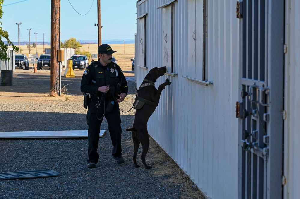 Sacramento County Sheriff's Office EOD Dogs Train at Beale AFB's Dragon Town