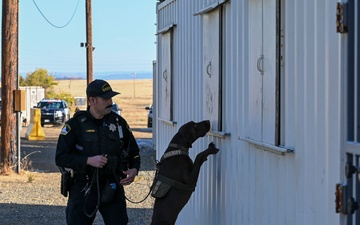 Airport Bureau dog teams sniff out Dragon Town