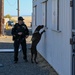 Sacramento County Sheriff's Office EOD Dogs Train at Beale AFB's Dragon Town