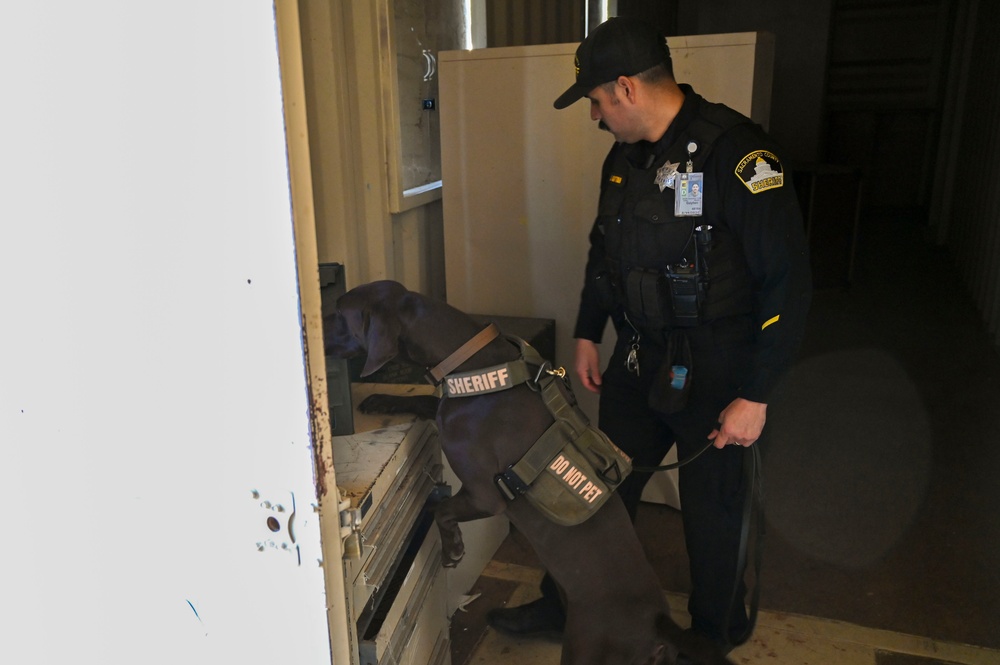 Sacramento County Sheriff's Office EOD Dogs Train at Beale AFB's Dragon Town