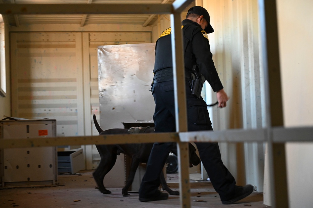 Sacramento County Sheriff's Office EOD Dogs Train at Beale AFB's Dragon Town