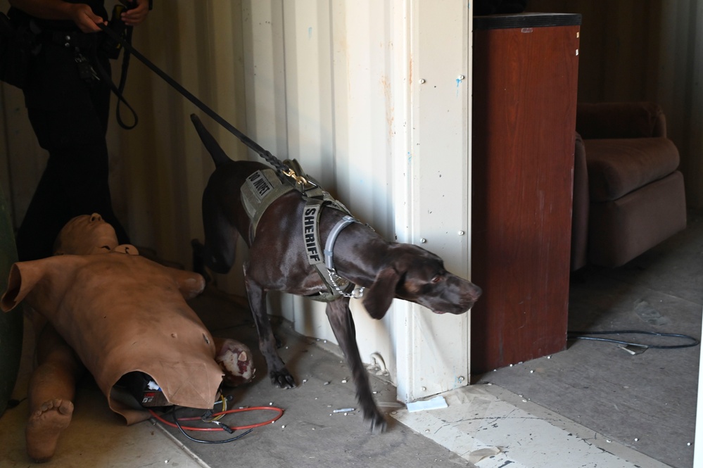 Sacramento County Sheriff's Office EOD Dogs Train at Beale AFB's Dragon Town