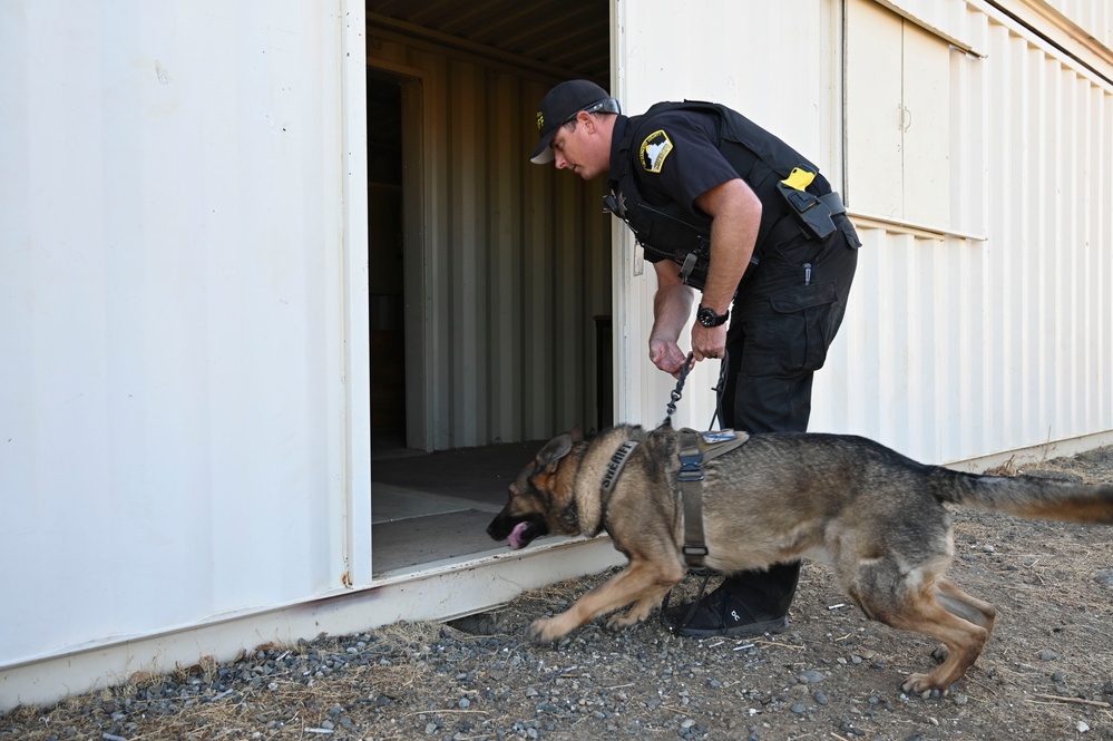 Sacramento County Sheriff's Office EOD Dogs Train at Beale AFB's Dragon Town