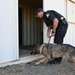 Sacramento County Sheriff's Office EOD Dogs Train at Beale AFB's Dragon Town