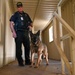 Sacramento County Sheriff's Office EOD Dogs Train at Beale AFB's Dragon Town