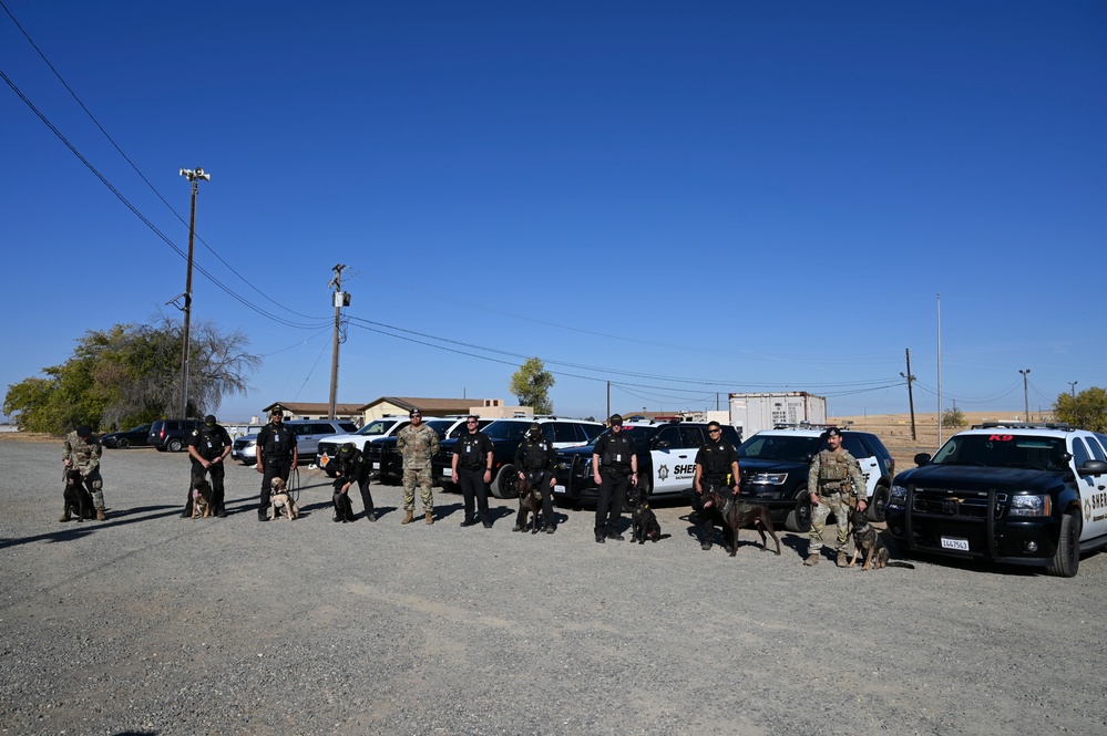 Sacramento County Sheriff's Office EOD Dogs Train at Beale AFB's Dragon Town