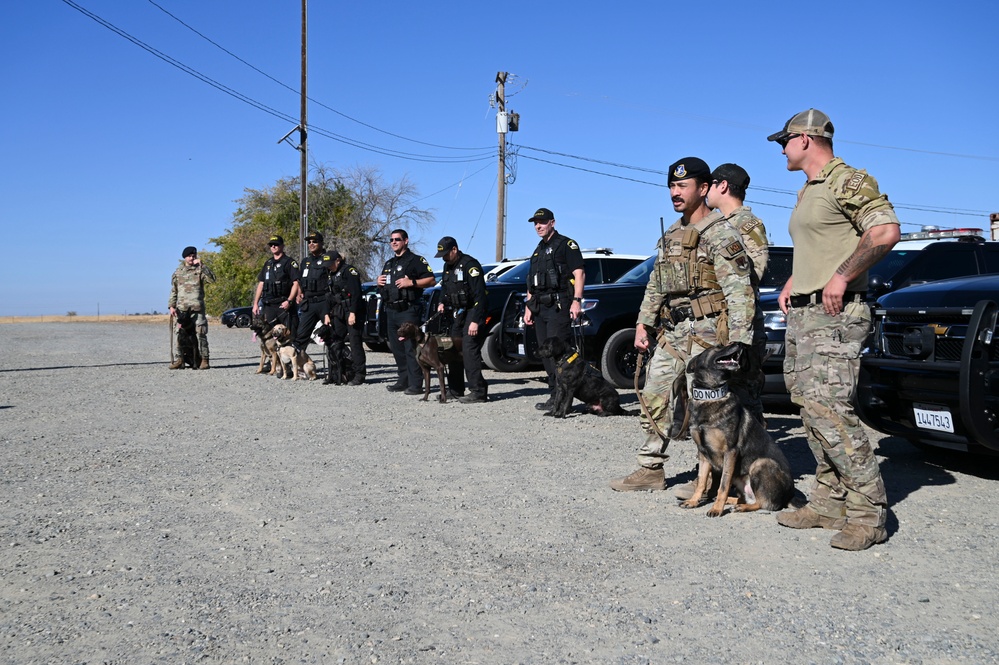 Sacramento County Sheriff's Office EOD Dogs Train at Beale AFB's Dragon Town