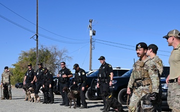 Sacramento County Sheriff's Office EOD Dogs Train at Beale AFB's Dragon Town