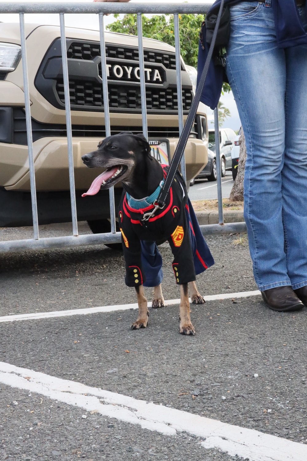 MAG-24 Trunk or Treat