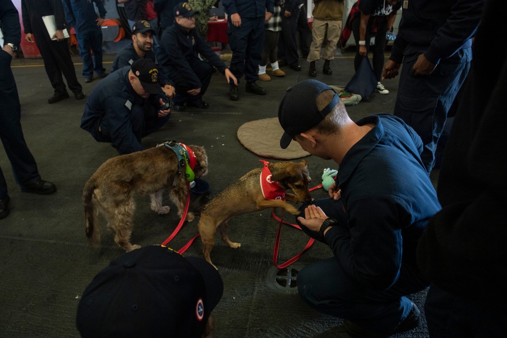 USS America (LHA 6) Visited by the American Red Cross Emotional Support Dogs