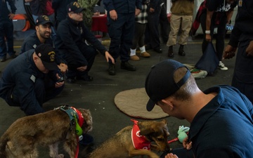 USS America (LHA 6) Visited by the American Red Cross Emotional Support Dogs