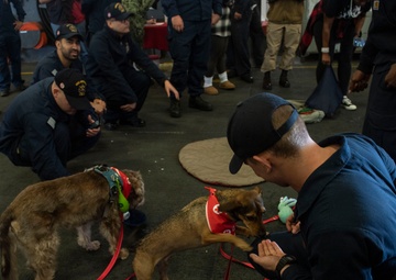 USS America (LHA 6) Visited by the American Red Cross Emotional Support Dogs