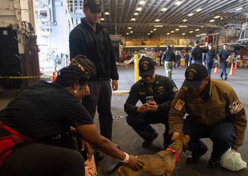 USS America (LHA 6) Visited by the American Red Cross Emotional Support Dogs
