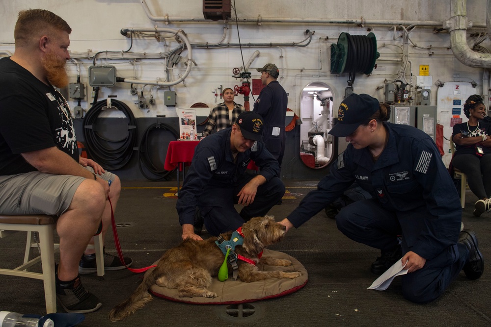 USS America (LHA 6) Visited by the American Red Cross Emotional Support Dogs