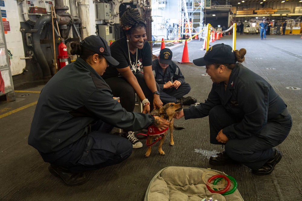 USS America (LHA 6) Visited by the American Red Cross Emotional Support Dogs