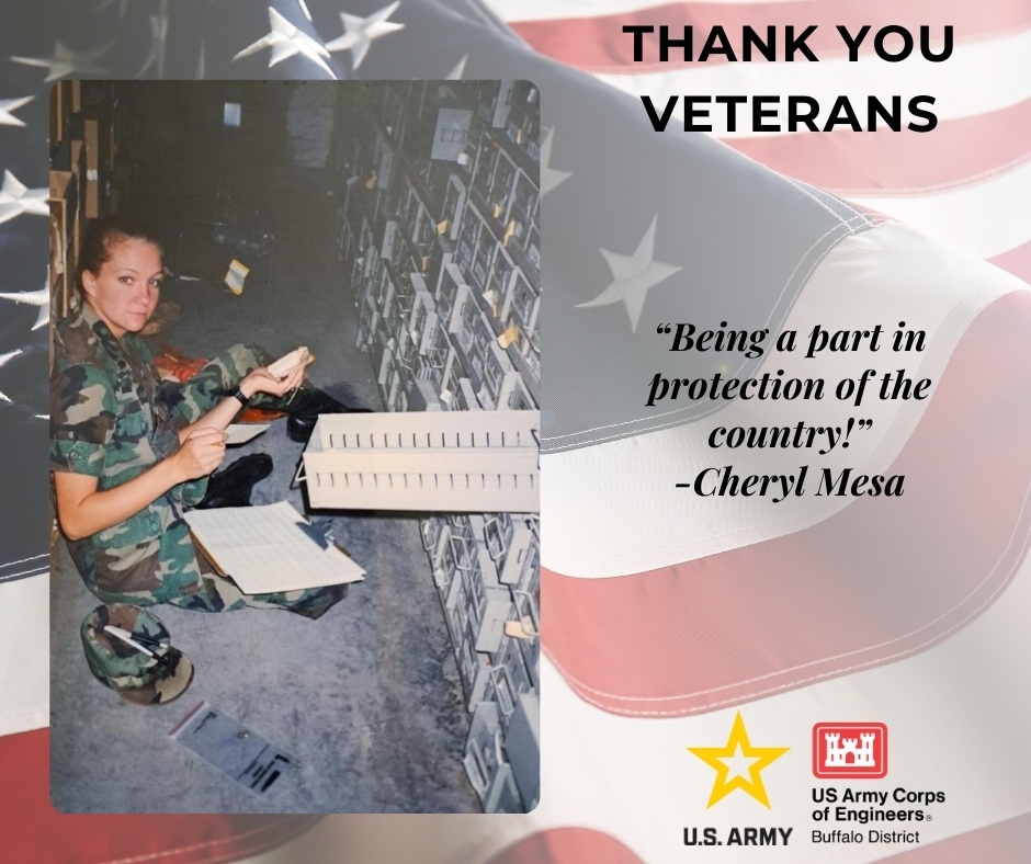 Veterans Day Recognition Graphics