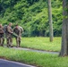 U.S. Army South Soldiers compete in the U.S. Army Futures Command Best Squad Competition&amp;#xA;