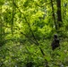 U.S. Army South Soldiers compete in the U.S. Army Futures Command Best Squad Competition&amp;#xA;