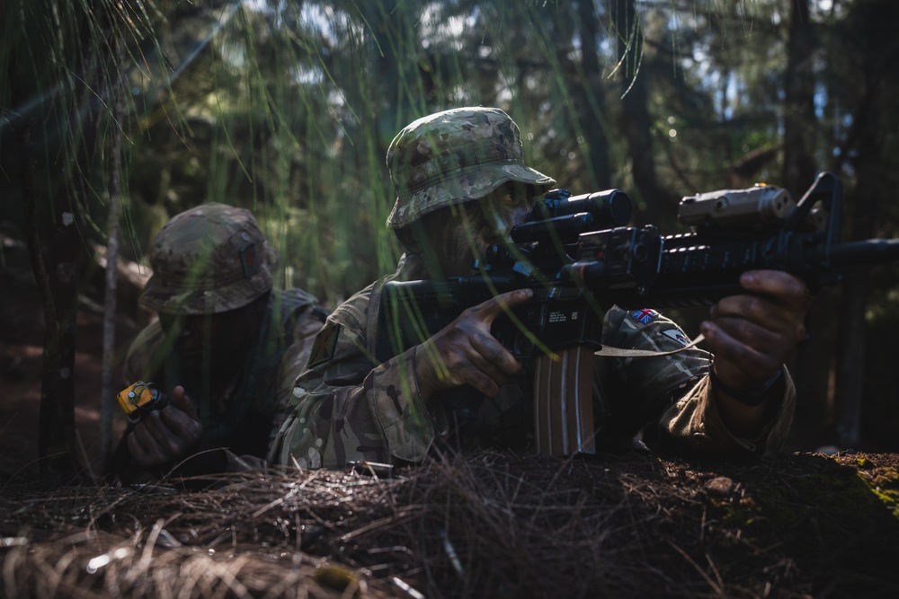 3SCOTS sets up ambush points and create escape routes during JPMRC 25-01